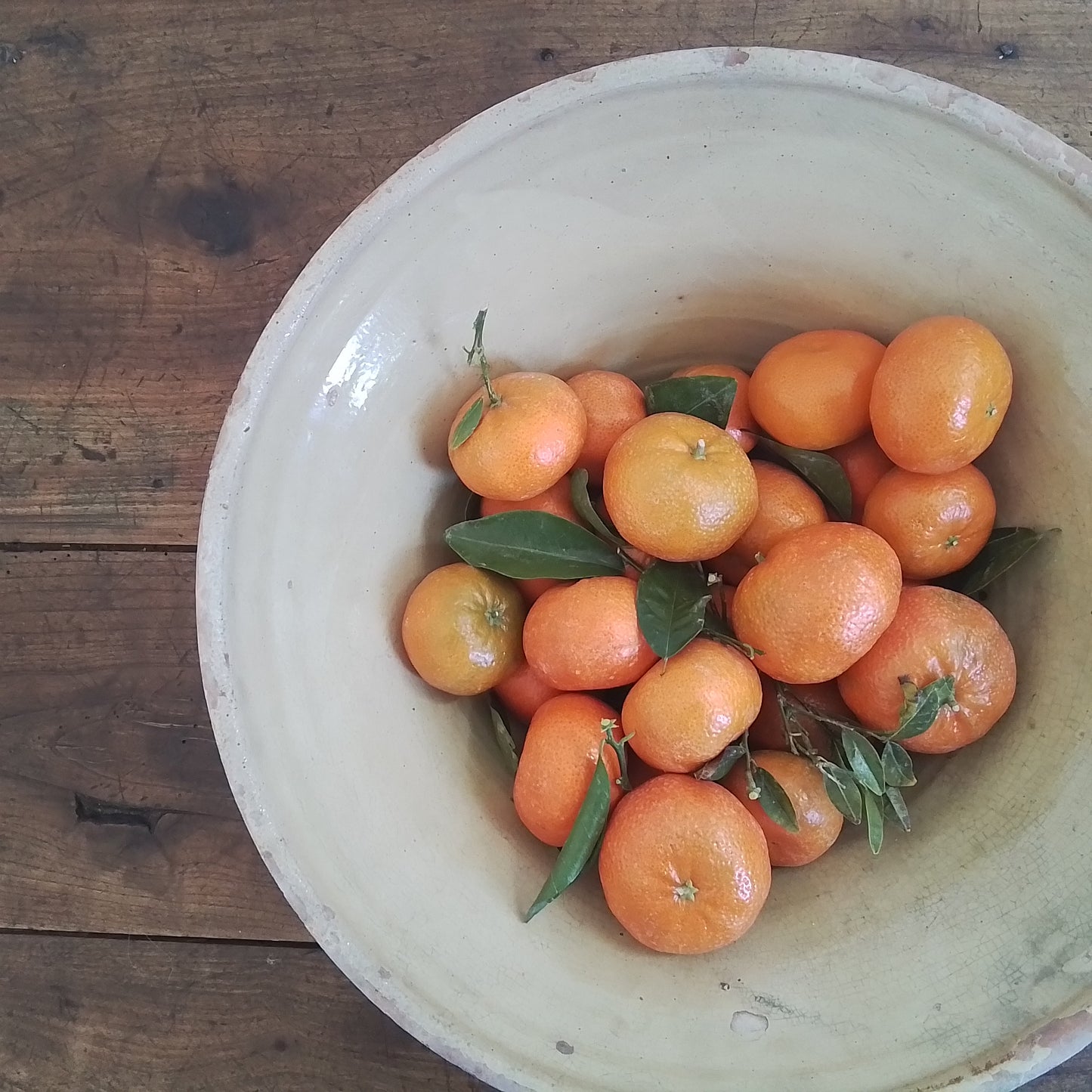Provencal Tian Bowl